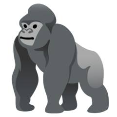 Gorilla.c59052b8 (1)